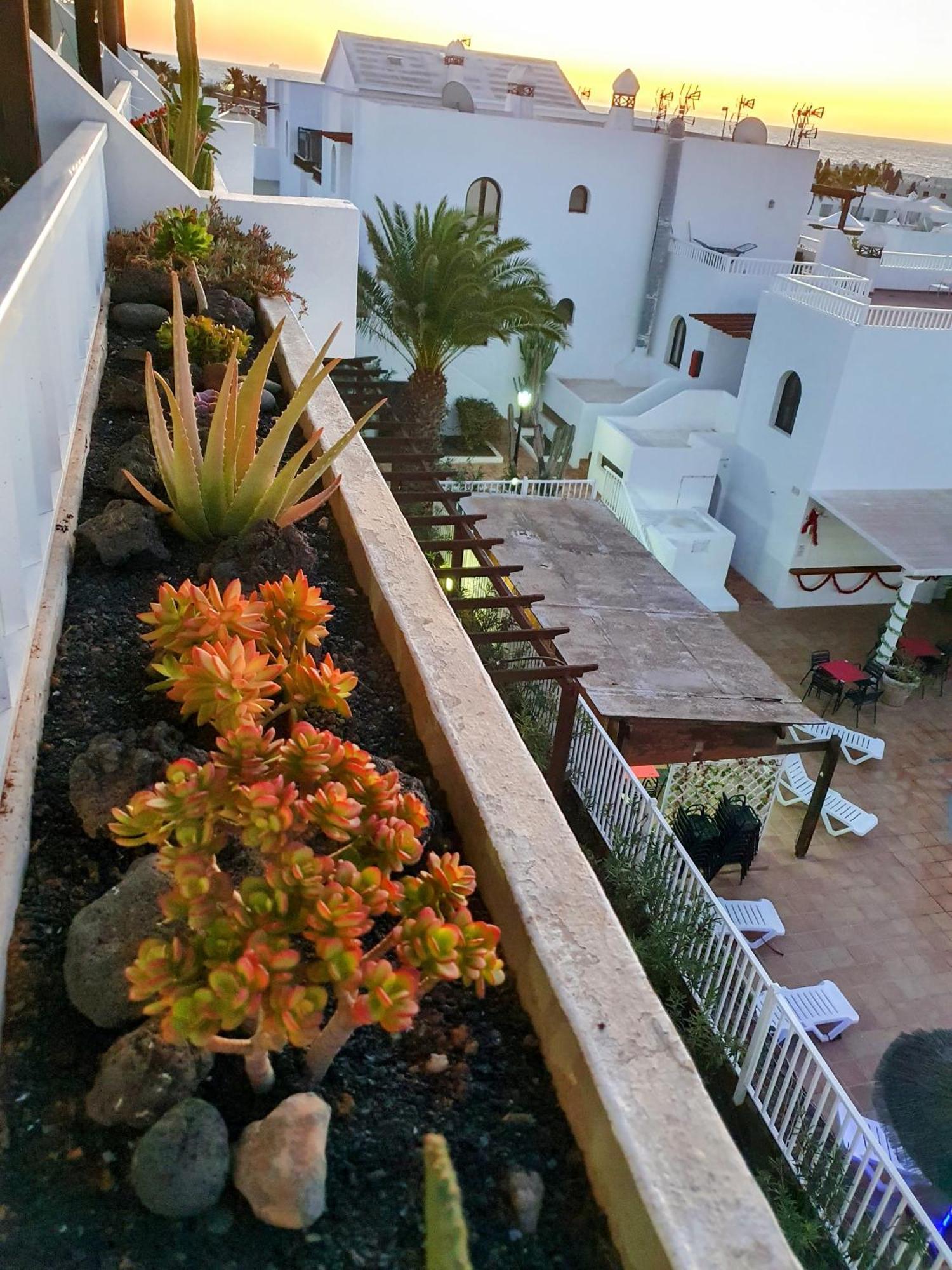 New Pools Wonderful Views Ac Leilighet Costa Teguise Eksteriør bilde